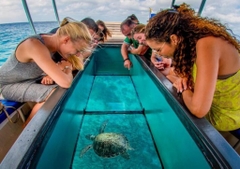 Nha Trang Tour - Sheep Meadow – Hy Bay – Grape Garden – Hang Rai (lunch included)