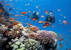 Nha Trang Tour - Sheep Meadow – Hy Bay – Grape Garden – Hang Rai (lunch included)