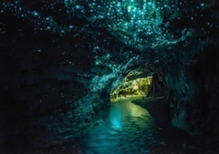 Quang Binh Day Tour: Discover Phong Nha Cave and Ozo Park