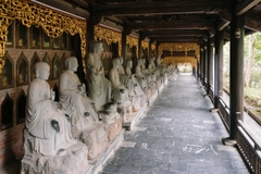 Ninh Binh 2 Days 1 Night Tour | Trang An – Bai Dinh Pagoda – Van Long Wetland Nature Reserve