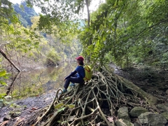 Half-day Discover Cat Ba National Park | Quan Y Cave + Trung Trang Cave
