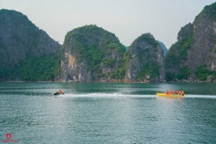 One Day Trekking Cat Ba National Park | Departure from Hanoi
