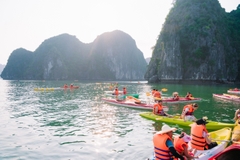 One Day Trekking Cat Ba National Park | Departure from Cat Ba