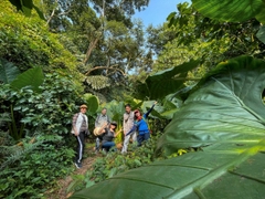 One Day Trekking Cat Ba National Park | Departure from Hanoi