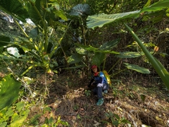 One Day Trekking Cat Ba National Park | Departure from Cat Ba