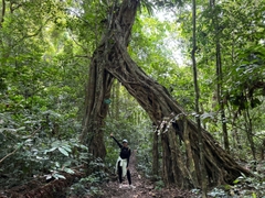 One Day Trekking Cat Ba National Park | Departure from Cat Ba
