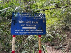One Day Trekking Cat Ba National Park | Departure from Cat Ba