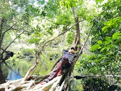 One Day Trekking Cat Ba National Park | Departure from Cat Ba