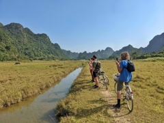 4-star Daiichi Cruise | Day Cruise in Lan Ha Bay