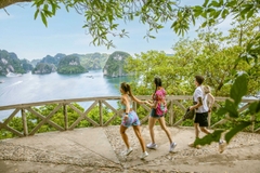 [Ambassador II] Day cruise Halong bay - Luxury Cruise on Halong Bay