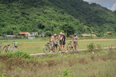 Lan Ha Bay Day Tour VIP 1 From Hanoi/ Ninh Binh/ Halong| 4-star Daiichi Cruise