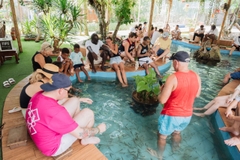 Lan Ha Bay Day Tour VIP 1 From Hanoi/ Ninh Binh/ Halong| 4-star Daiichi Cruise