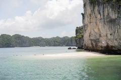 Cat Ba Tour 2D1N | Enjoy Lan Ha Bay Fullday Tour + Half-day Trekking National Park