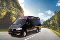 Limousine Ninh Binh to Hanoi - VIP Limousine 11 seaters