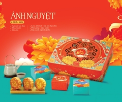 Anh Nguyet 480g