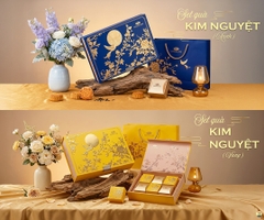 Premium Mooncake Kim Nguyệt blue and yellow 480g (KNX)