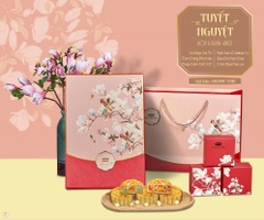 Tuyet Nguyet box 480g (TUN)