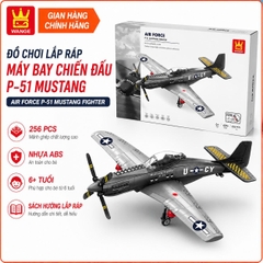 MÔ HÌNH TIÊM KÍCH P-51 MUSTANG FIGHTER 4006