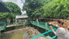 From Ho Chi Minh: Rowing Boat Experience with Mekong Delta Tour (My Tho – Ben Tre)
