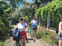 From Ho Chi Minh: Rowing Boat Experience with Mekong Delta Tour (My Tho – Ben Tre)