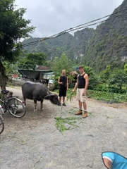 Ninh Binh Motorbike Tour One Day: Highlight And Hidden Gems