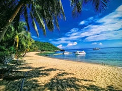 Cham Island Sightseeing And Snorkeling Tour