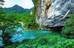 From Dong Hoi / Phong Nha (Quang Binh): Phong Nha & Paradise Cave 1 Day Trip