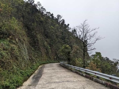 From Hue To Bach Ma National Park Tour Trekking And Discovery