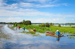From Hochiminh: Mekong Delta Cai Rang Floating Market 2 Days 1 Night
