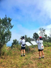 From Hue To Bach Ma National Park Tour Trekking And Discovery