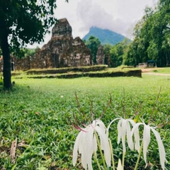 From Hoi An: My Son Holyland Luxury Tour (Half-day)