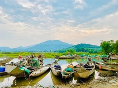 Hue: Easy Rider Tour via Hai Van Pass To/ From Hoi An (1way) (Private Tour)