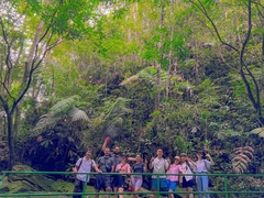 From Hue To Bach Ma National Park Tour Trekking And Discovery