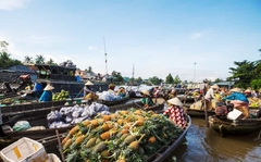 From Hochiminh: Mekong Delta Cai Rang Floating Market 2 Days 1 Night
