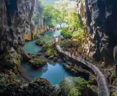 From Dong Hoi / Phong Nha (Quang Binh): Phong Nha & Paradise Cave 1 Day Trip