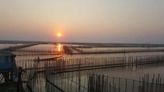 From Hue: Tam Giang Lagoon Group Tour