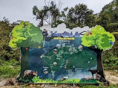 From Hue To Bach Ma National Park Tour Trekking And Discovery