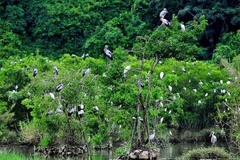 Ninh Binh Motorbike Tour One Day: Highlight And Hidden Gems