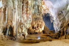 From Dong Hoi / Phong Nha (Quang Binh): Phong Nha & Paradise Cave 1 Day Trip