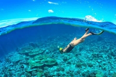 Cham Island Sightseeing And Snorkeling Tour