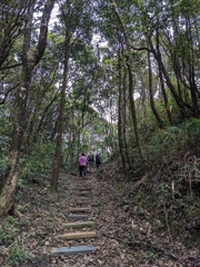 From Hue To Bach Ma National Park Tour Trekking And Discovery