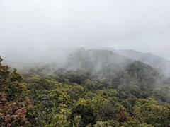 From Hue To Bach Ma National Park Tour Trekking And Discovery
