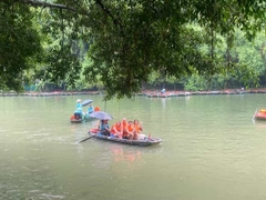 From Ninh Binh: Bai Dinh, Mua Cave, Tam Coc boat & Cycling