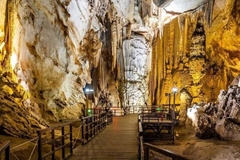From Dong Hoi-Quang Binh: Phong Nha Cave & Dark Cave 1 Day Trip
