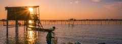 From Hue: Tam Giang Lagoon Group Tour