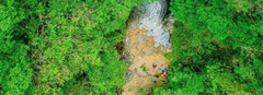 From Hue To Bach Ma National Park Tour Trekking And Discovery