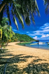 Cham Island Sightseeing And Snorkeling Tour