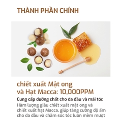 Dầu Gội Cân Bằng Tự Nhiên KUNDAL Honey&Macadamia 500ml
