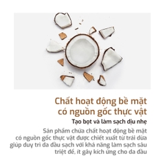 Dầu Gội Cân Bằng Tự Nhiên KUNDAL Honey&Macadamia 500ml