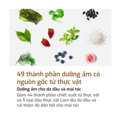 Dầu Gội Cân Bằng Tự Nhiên KUNDAL Honey&Macadamia 500ml